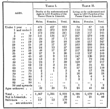 The 1830 Limerick Food Riots – The Irish Story